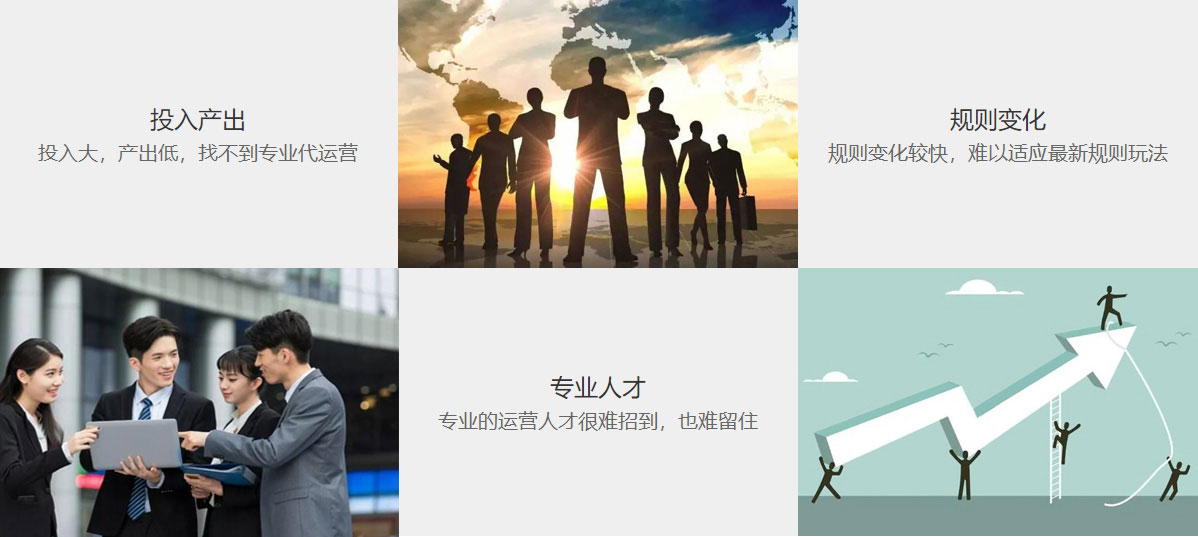 湖州阿里国际站代运营  第1张